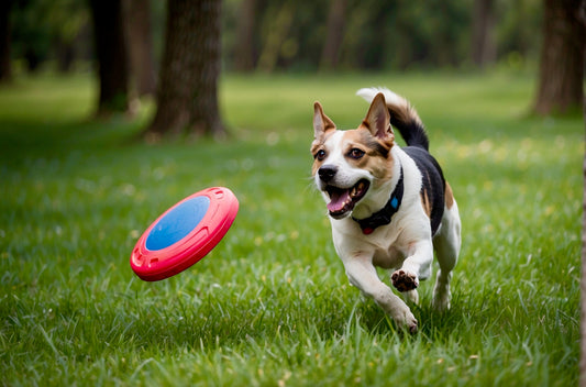 PAWSITIVELY PERFECT PLAYTIME: UNLEASH THE FUN WITH OUR TOP DOG TOYS!