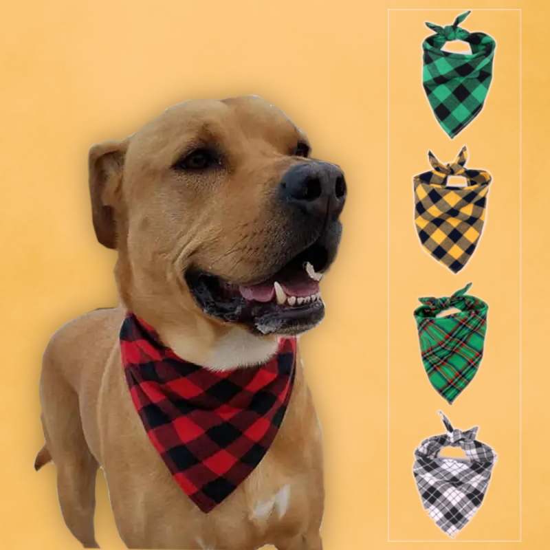 Adorable Classic Plaid Bandana