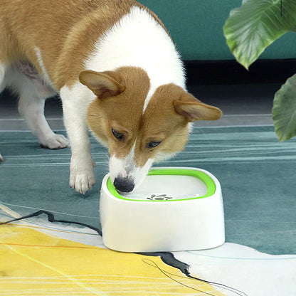 Water Bowl with Splash Defender