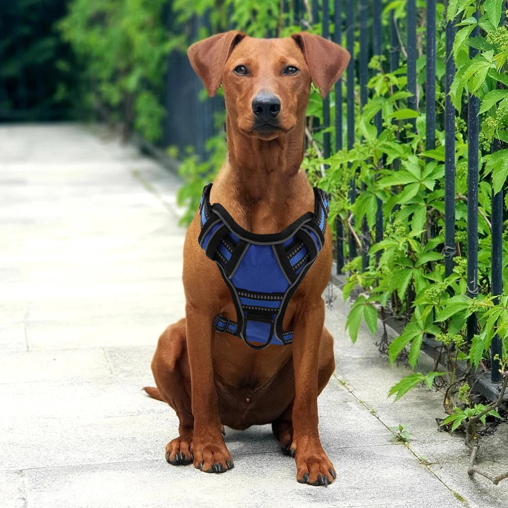 Reflective Harness Vest with Handle