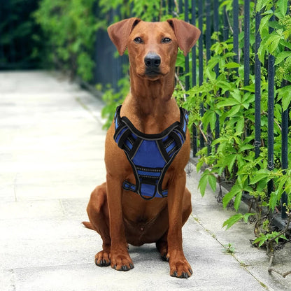 Reflective Harness Vest with Handle