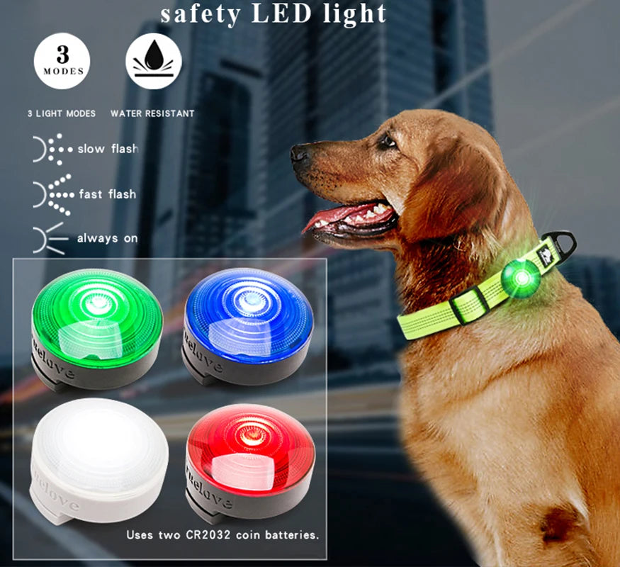 Safety LED Light