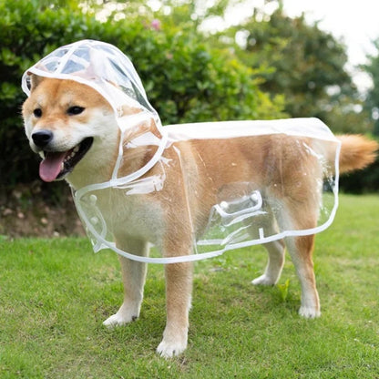 Transparent Hooded Raincoat