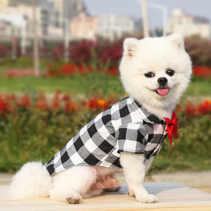 Classic Plaid Shirt With A Bowtie