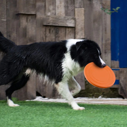 Silicone Flying Disc