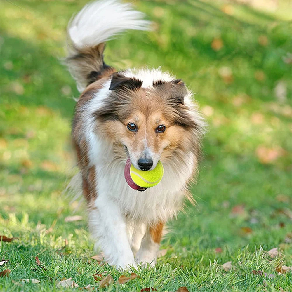 6 / 12 PCS Special 2" Tennis Balls For Automatic Launcher