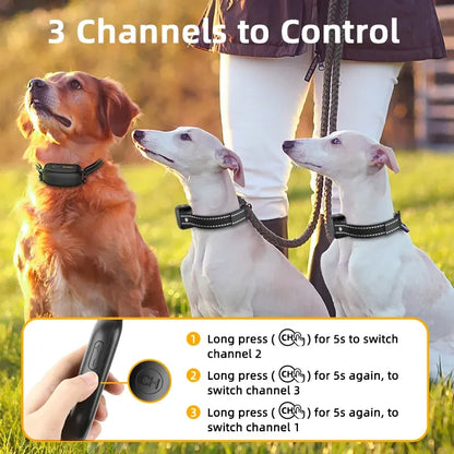 Rechargeable Dog Training Collar