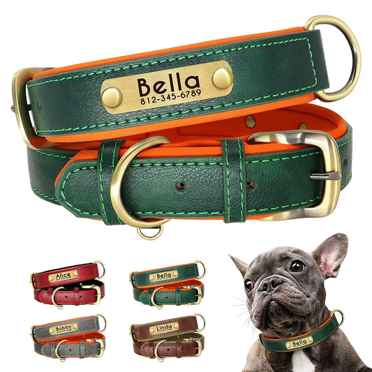 Collar de perro con placa de identificación personalizada