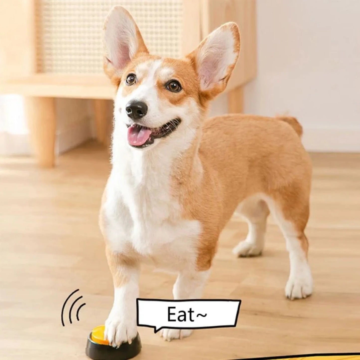 Dog Communication Buttons