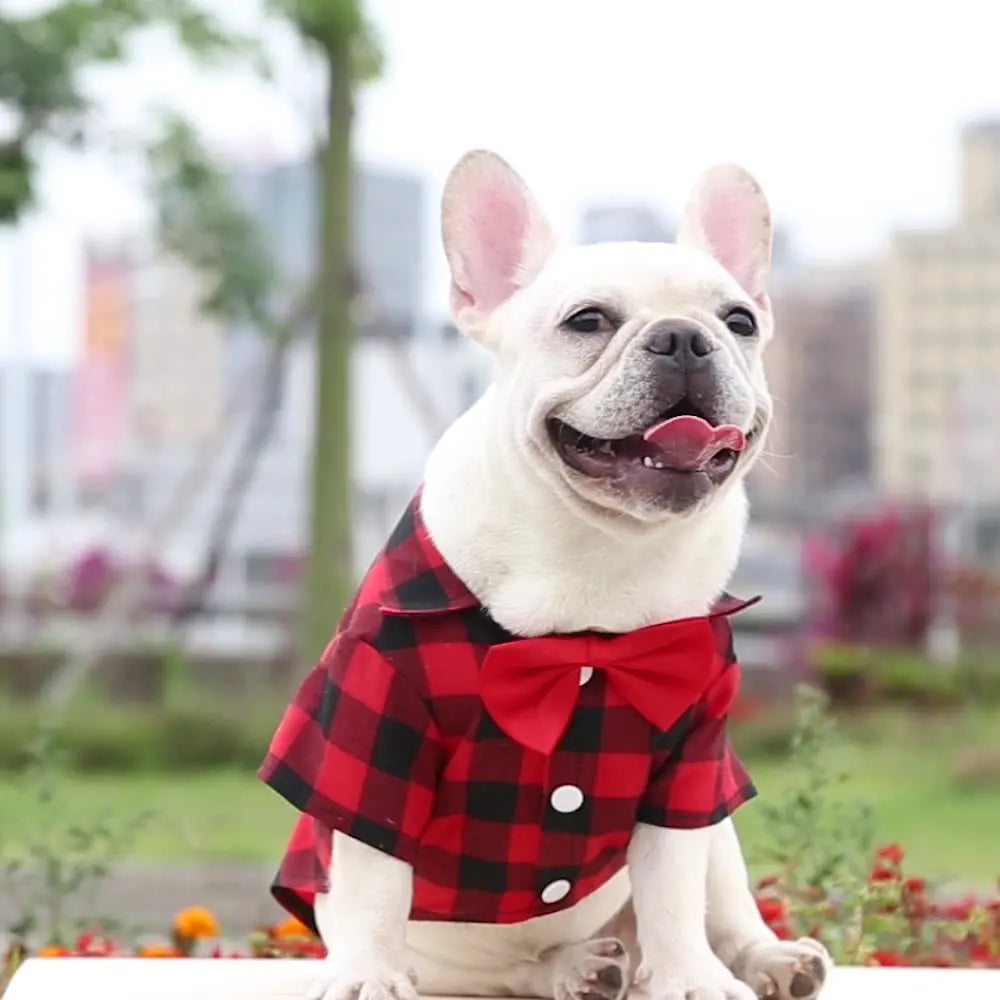 Classic Plaid Shirt With A Bowtie