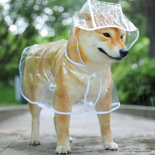 Transparent Hooded Raincoat