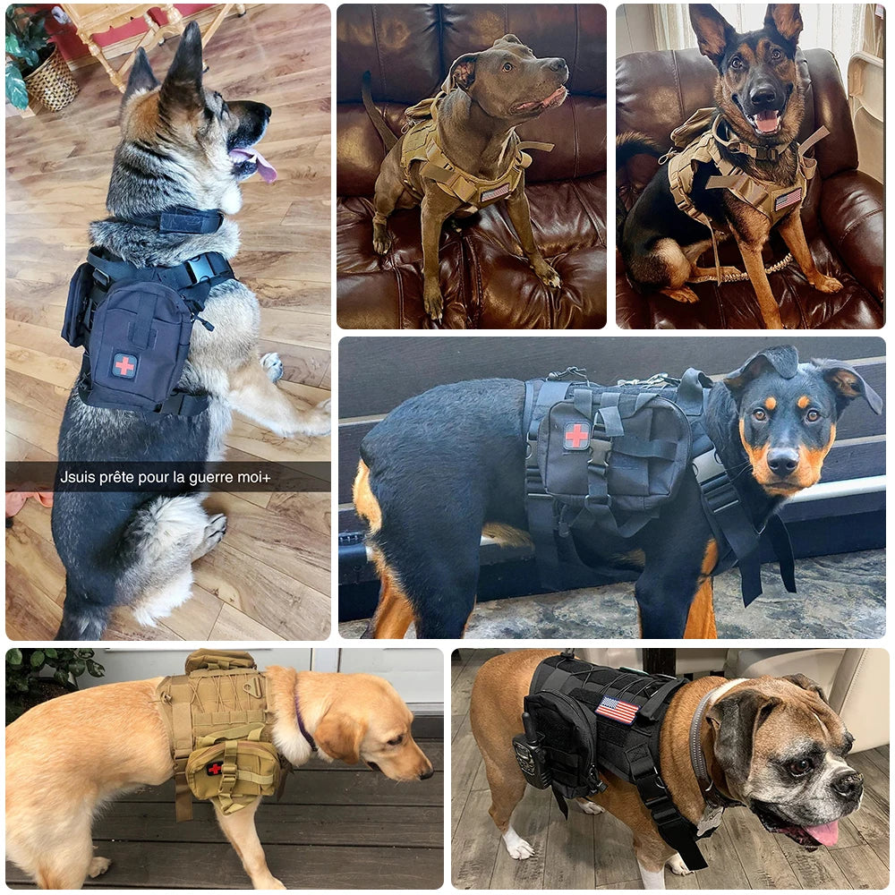 Tactical Dog Harnesses And Leash