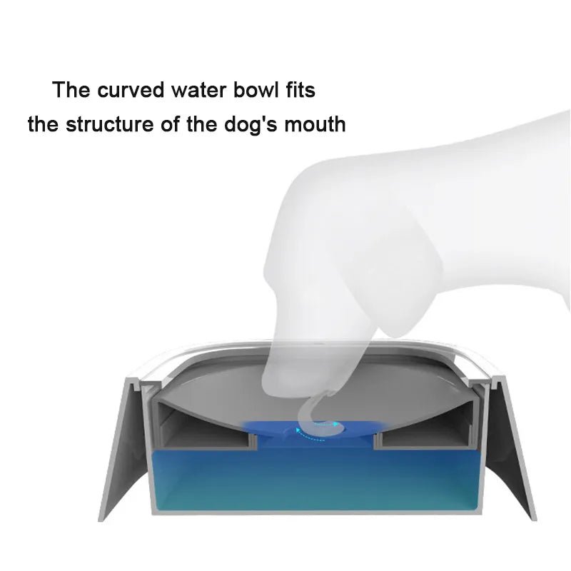 Water Bowl with Splash Defender