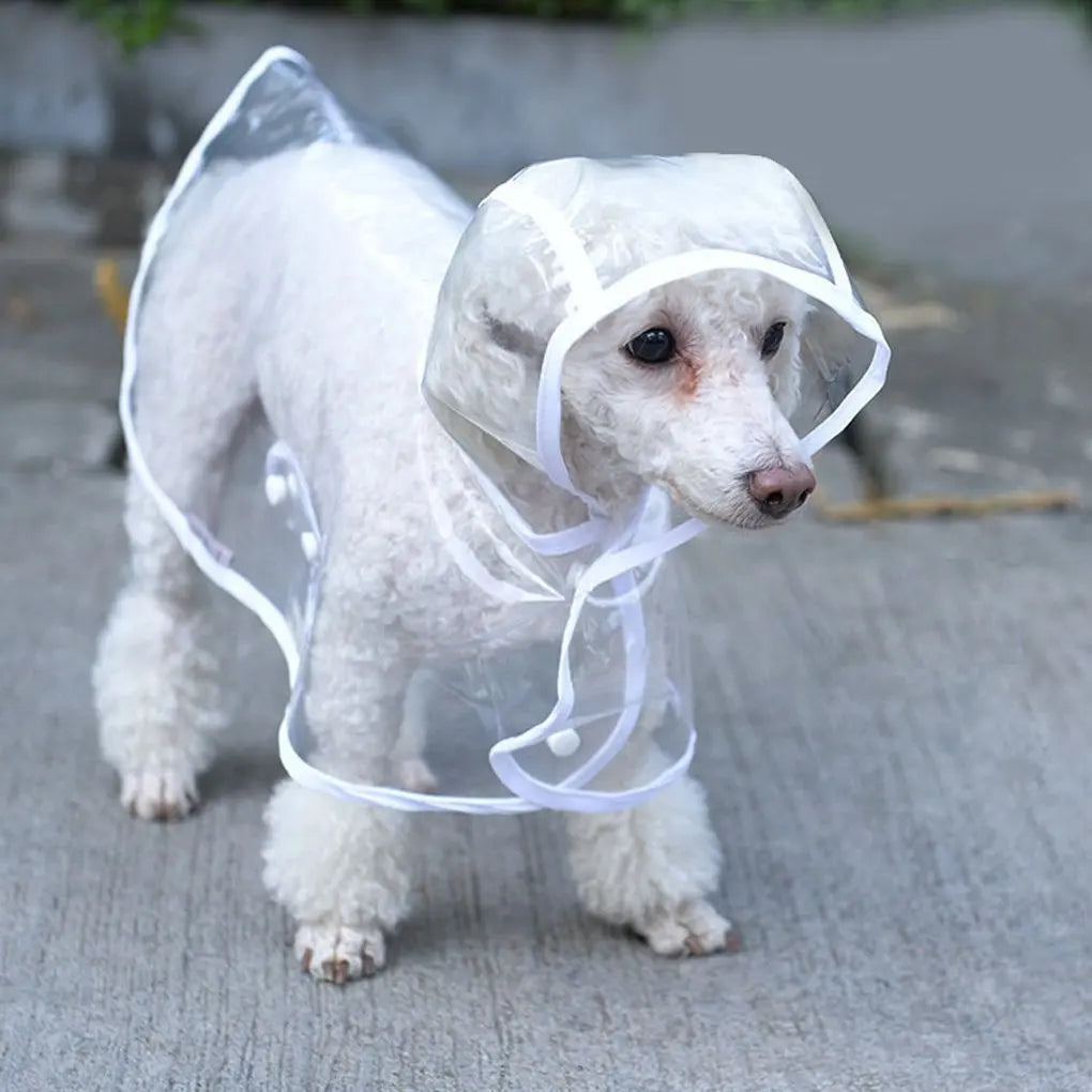 Transparent Hooded Raincoat